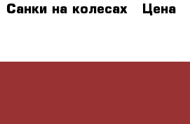 Санки на колесах › Цена ­ 1 000 - Татарстан респ., Набережные Челны г. Дети и материнство » Детский транспорт   . Татарстан респ.,Набережные Челны г.